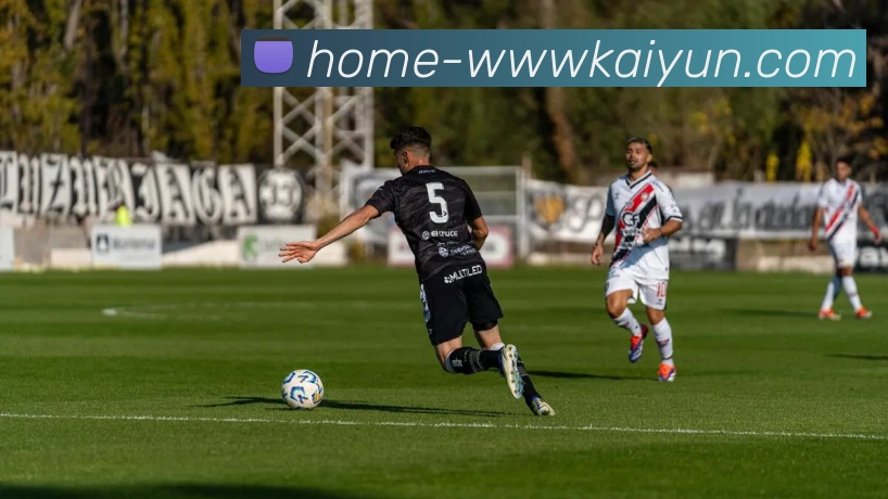 kaiyun平台生态图